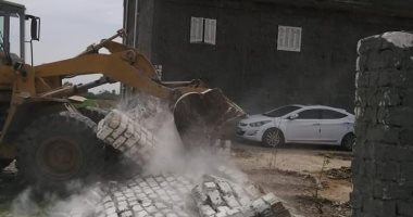 تنفيذ 35 قرار إزالة صادرة من مديرية الزراعة على أراضي الدولة وسط الإسكندرية