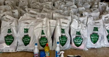 محافظ كفر الشيخ: توفير أغذية ومستلزمات تعقيم لقرية كفر العجمى المعزولة..صور