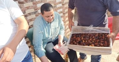 "العجوة المسمومة".. سلاح مدينة شبين القناطر للقضاء على الخفافيش (فيديو وصور)