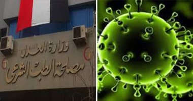 على درب الصحة والإفتاء.. ماذا قال الطب الشرعى عن مسألة دفن موتى كورونا؟.. 10 خطوات لإجراءات الغُسل والتكفين والدفن.. وخبير يُجيب عن الأسئلة الشائكة.. والسؤال الأبرز هل هناك حاجة لحرق جثث الموتى بكورونا؟