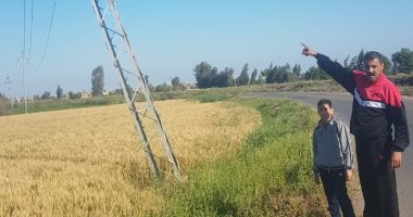أهالى عزبة الساحة بالدقهلية يستغيثون بسبب تهالك أعمدة الكهرباء