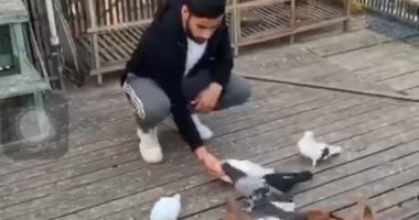 شاهد.. الغاوى ينقط بطاقيته..ناصر ماهر وعشق تربية الحمام