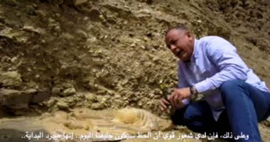 فيديو وصور.. الآثار تعلن عن كشف أثرى فى موقع جبانة الحيوانات والطيور المقدسة بسقارة