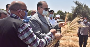 محافظ أسيوط يتفقد بدء حصاد محصول القمح بأبنوب ويعلن زراعة 240 ألف فدان