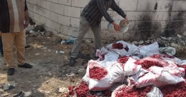 غلق 3 منشآت غذائية وإعدام 1270 كيلو أغذية فاسدة بالشرقية 