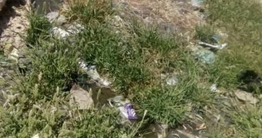 شكوى من سوء الصرف الصحي بقرية الروضة بكفر الشيخ وانتشار الرائحة الكريهة