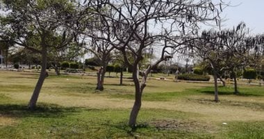 صور.. خلو المسطحات الخضراء بمدينة الصالحية الجديدة من المواطنين فى شم النسيم