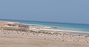 دورية من باحثى البيئة على الشواطئ التابعة لمحمية وادى الجمال