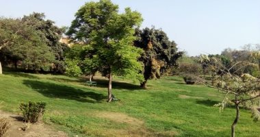 علماء هولنديون بالتعاون مع ووهان ينجحون فى إنتاج الهيدروجين من حدائق بحجم النانو