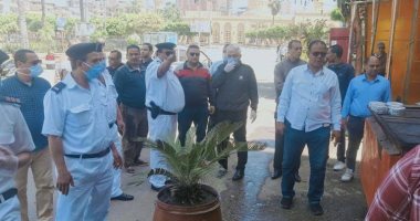 صور .. حملات للتطهير ومراقبة الأسواق ورفع الإشغالات المخالفة بكفر الشيخ