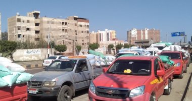 صور .. توريد 3 آلاف و324 طن قمح بـ 22 موقعا بكفر الشيخ