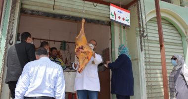 ضبط 275 كيلو لحوم مذبوحة خارج السلخانة بالدقهلية.. صور