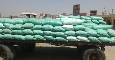 ضبط 23 طن قمح من مواسم سابقة وحملات لطب بيطرى كفر الشيخ