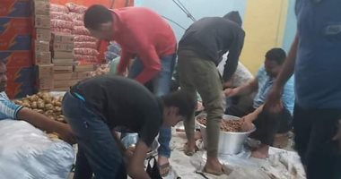 صور.. شباب كفر الزيتون بالغربية يدعمون الأسر الأكثر احتياجا بالمواد الغذائية