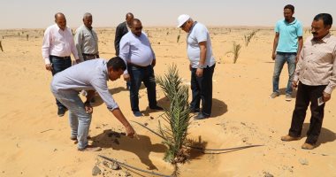 محافظ الوادى الجديد يتفقد مشروع مزرعة نخيل على مساحة 350 فدانا بالخارجة