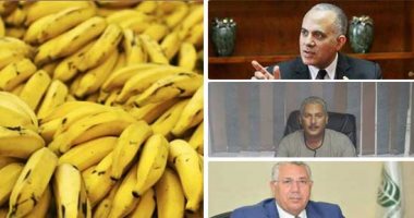 بعد حظر زراعته.. آليات قوية ولجان مرورية لمنع "الموز" بالأراضى الصحراوية والجديدة.. الزراعة: لترشيد استهلاك المياه.. و"الفلاحين" يدعم الحبوب.. "الزراعيين": الفدان يستنزف 3 أضعاف ما يستهلكه القمح من الأسمدة