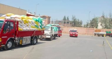 محافظ قنا: توريد 5047 طن من القمح للصوامع والشون بقنا