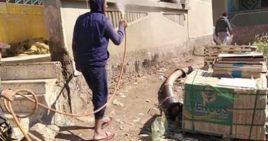 لمواجهة كورونا.. شباب قرية فرج الشامى بكفر الشيخ يطهرون القرية يومياً