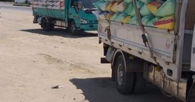 توريد 54 ألفا و705 أطنان من محصول القمح في صوامع الشرقية