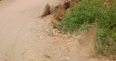شكوى من عدم رصف الطرق فى قرية أبنود فى محافظة قنا