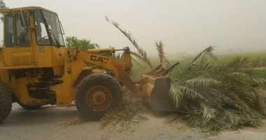 صور.. مدينة سمالوط بالمنيا ترفع مخلفات الطقس السيئ بالقرى