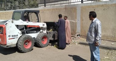 صور.. حملة نظافة ورفع القمامة وتفريغ الحاويات بقرى إسنا 