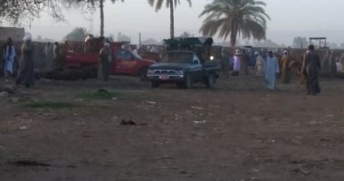 فض سوق الأحد لبيع المواشى بقنا بعد تبادل إطلاق نار لخلاف على ثمن عجل ..صور