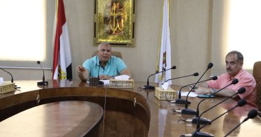 محافظ الوادى الجديد يلتقى نواب البرلمان وممثلى النقابات عبر الفيديو كونفرانس