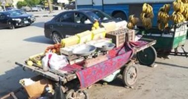 سكان زهراء مدينة نصر يشكون انتشار الباعة الجائلين بمساكن وشارع الميثاق