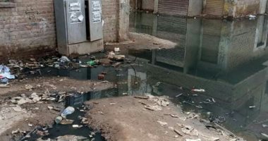 أهالى الأربعين بالحوامدية فى الجيزة يشكون سوء الصرف الصحى ووصوله للكهرباء