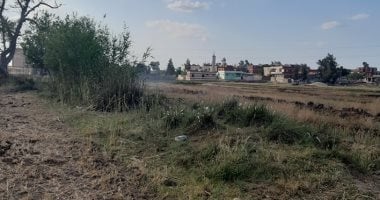 شكاوى من توقف تحويل ترعة بابو حمص بالبحيرة من الرى الزراعى الى رى مطور