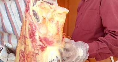 ضبط لحوم غير صالحة للاستهلاك الآدمى بسوهاج فى حملة لمديرية الطب البيطرى  
