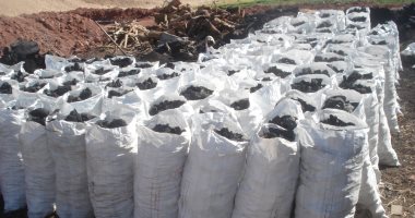 شئون البيئة بالوادى الجديد تضبط 12 مكمورة فحم بدون ترخيص فى الداخلة