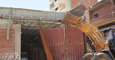 إزالة 20 حالة تعد على أرضى زراعية بالشرقية.. صور