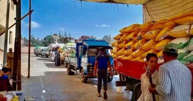 صور.. محافظ كفر الشيخ: استلام 44 ألف و339 طن قمح بـ 21 منفذاً حتى الآن