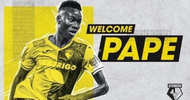 رسميا.. واتفورد يتعاقد مع لاعب لوهافر فى أولى صفقات ميركاتو كورونا
