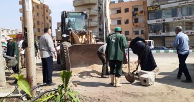 نقل 6005 متر مكعب قمامة للمدفن الصحى وتجميل وتطهير المدن بالشرقية 