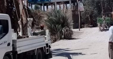 قص وتقليم الأشجار بالطريق الصحراوى فى الأقصر لمنع الحوادث