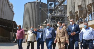 محافظ الغربية يتابع توريد القمح بالصوامع.. صور