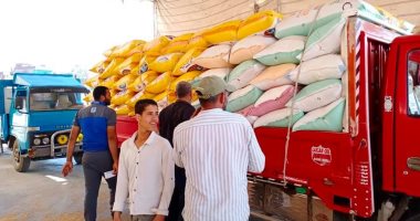 صور .. توريد 49 ألفا و808 أطنان قمح لصوامع كفر الشيخ