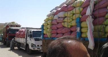 محافظ أسيوط: توريد 11 ألف و390 طن قمح بجميع مراكز التجميع وحصاد 27 ألف فدان 