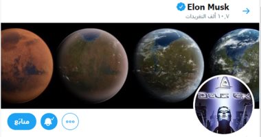 تعرف على اللعبة التى استخدمها "إيلون ماسك" لتغيير صورة بروفايله على تويتر