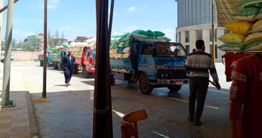 صور .. توريد 68 ألف و 725 طن قمح بـ  22 موقع بكفر الشيخ