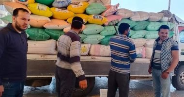 صور .. توريد 75 ألفا و870 طن قمح بـ22 موقعا بكفر الشيخ