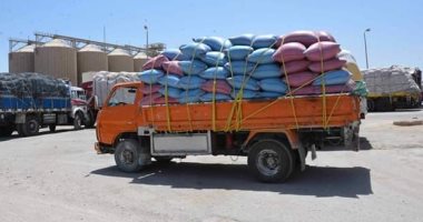 محافظ البحيرة : توريد 309426 طن قمح بصوامع وشون المحافظة