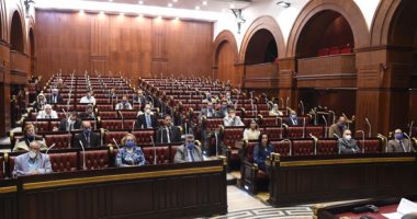 برلمانى: تنمية المشروعات الصغيرة ودمجها في الاقتصاد الرسمى يحافظ على سوق العمل