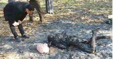 علوم مسرح الجريمة.. كيفية فك الطب الشرعي طلاسم الجثث المحروقة.. قياس طول الجثة لتحديد نوعها.. العينات تحتاج من 6 لـ48 ساعة لظهور النتائج.. و11 نقطة يجب إبرازها في الحوادث.. وخبير يوضح 5 ملاحظات عند معاينة الجثث