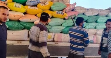 محافظ كفر الشيخ: توريد 90 ألفا و112 طن قمح إلى الشون والصوامع