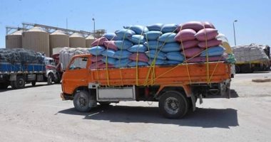توريد 97 ألف طن من القمح للصوامع والشون بمراكز المنيا