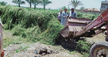 محافظ الدقهلية : إزالة 456 حالة تعدى على أراضى الدولة منذ مارس.. صور